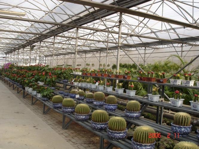 厂家供应单体温室养殖育苗花卉大棚负责安装设计